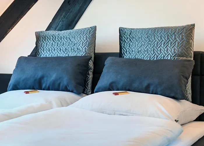 Daire Tor-apartment Im Herrenhaus Rheinblick Xanten